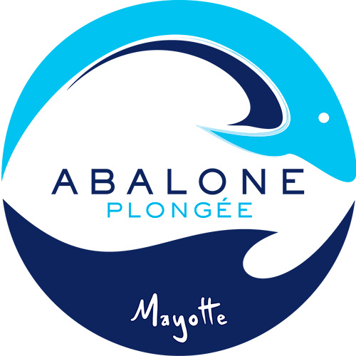 Abalone